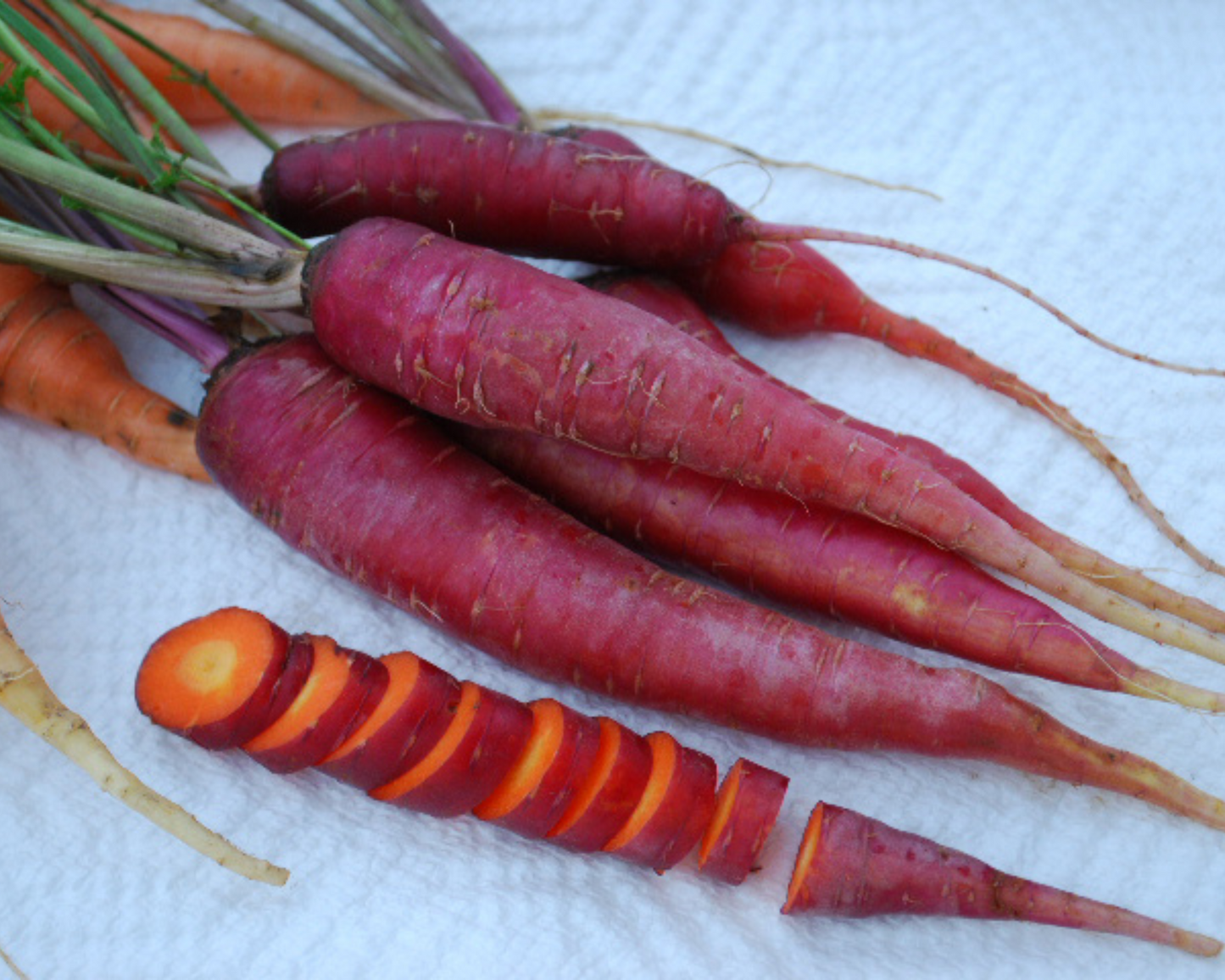 Packet of Seeds 'n Such Dragon Carrot Seeds with 800 seeds for planting and growing vibrant, sweet carrots.