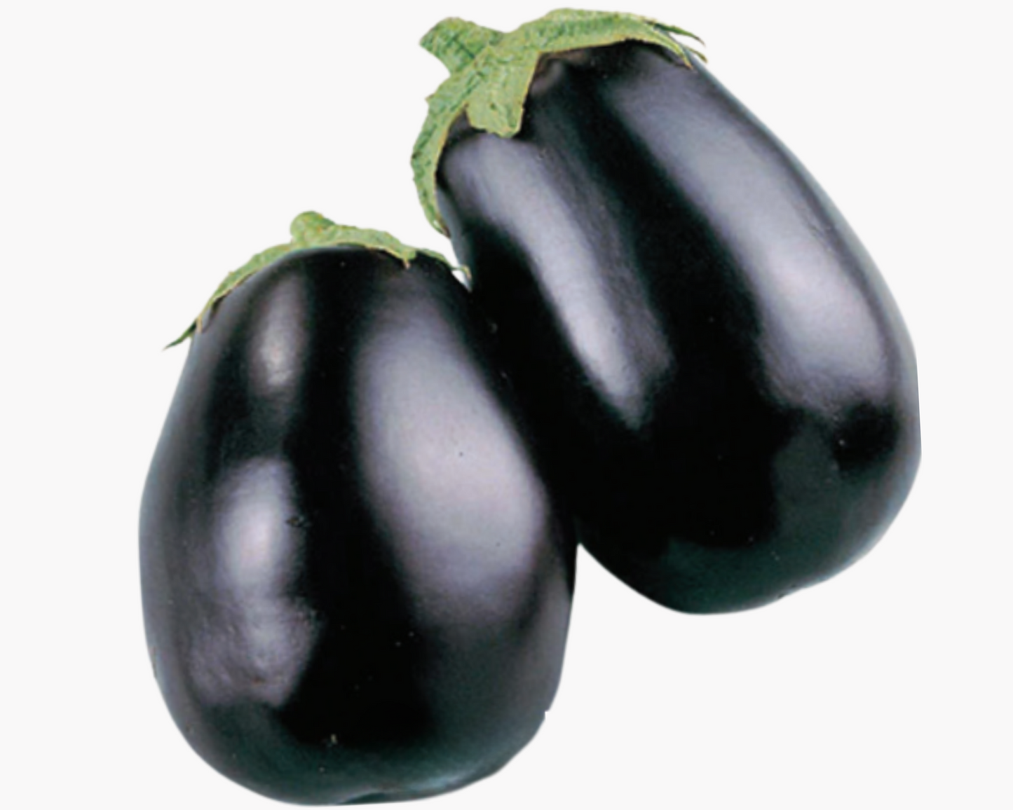 Black Beauty Eggplant Seeds packet from Seeds 'n Such with 85 seeds for planting and growing eggplants in your garden.