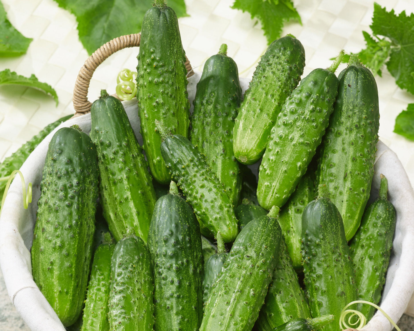 Pack of Bushy Compact Pickling Cucumber Seeds from Seeds 'n Such showing seed packet with 50 seeds for home gardening.