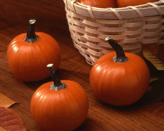 Bulk Seeds 'n Such Wee-Be-Little Pumpkin Seeds in a packet, showing small, green pumpkin seeds ideal for planting or snacking.