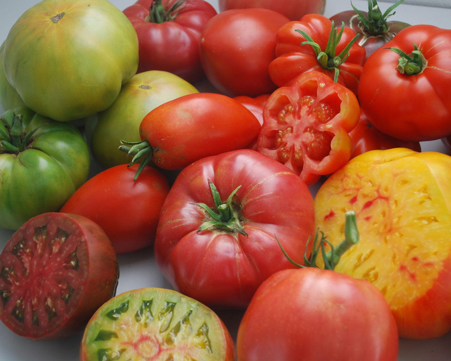 Bulk Seeds 'n Such heirloom tomato seeds in a packet, showcasing a variety of gourmet slicing mix seeds for gardening.