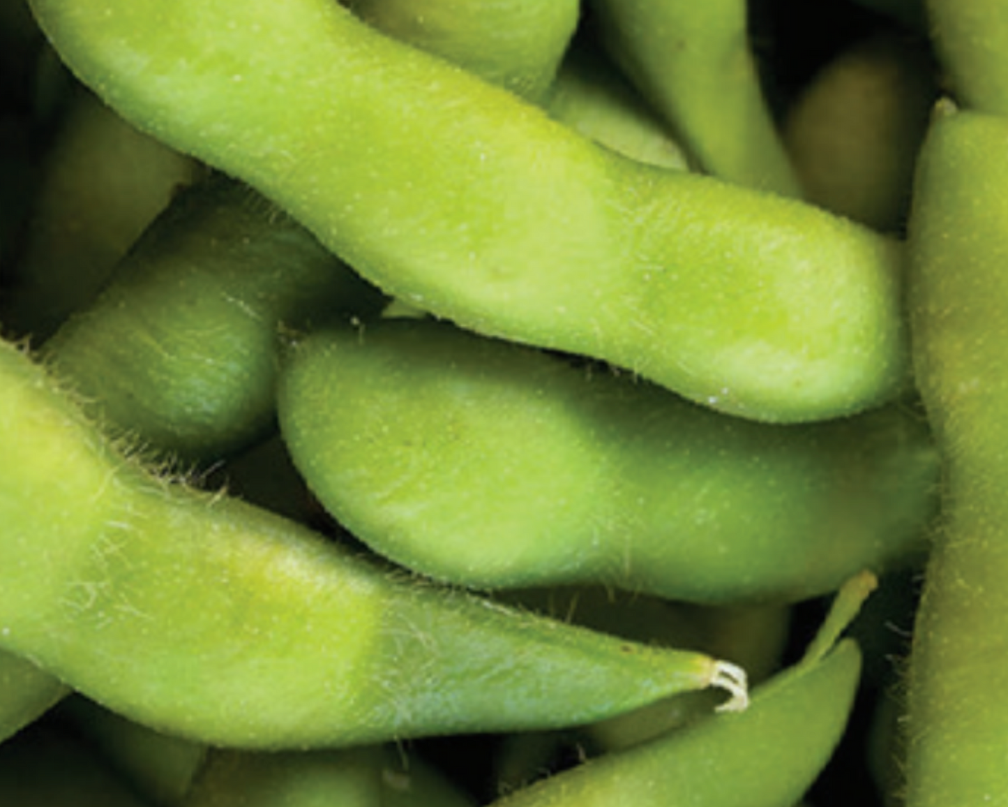 Be Sweet Edamame vegetable seeds packet from Seeds 'n Such, showing 1 oz of fresh edamame seeds for planting.