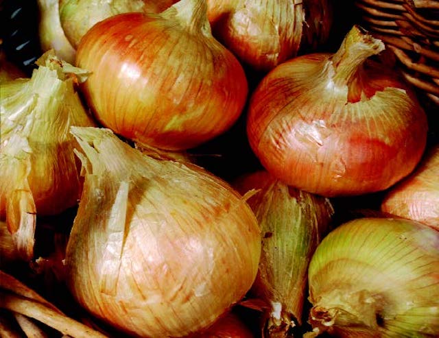 Packet of Seeds 'n Such Ailsa Craig Exhibition Onion Seeds showing 250 vegetable seeds in a colorful packet.