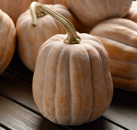 Packet of Autumn Frost Hybrid Winter Squash Seeds from Seeds 'n Such, showcasing bright seed packets for vegetable gardening.