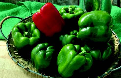 Packet of Alliance Hybrid Bell Pepper Seeds from Seeds 'n Such, showing 8 to 10 vegetable seeds in a colorful packet.