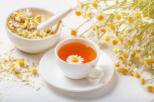 1000 GERMAN CHAMOMILE Matricaria Recutita Chamomilla Herb Flower Seeds - Blessings Grow Meadows -