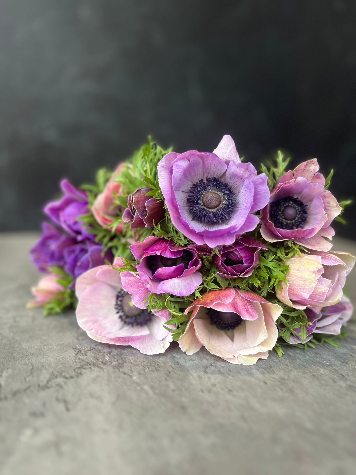 Anemone Corms-Rarity