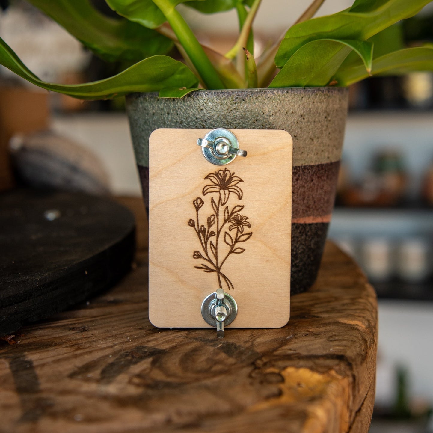 Still Magnolia Pocket Flower Press kit with wooden press and floral materials for preserving pressed flowers and creating nature crafts.