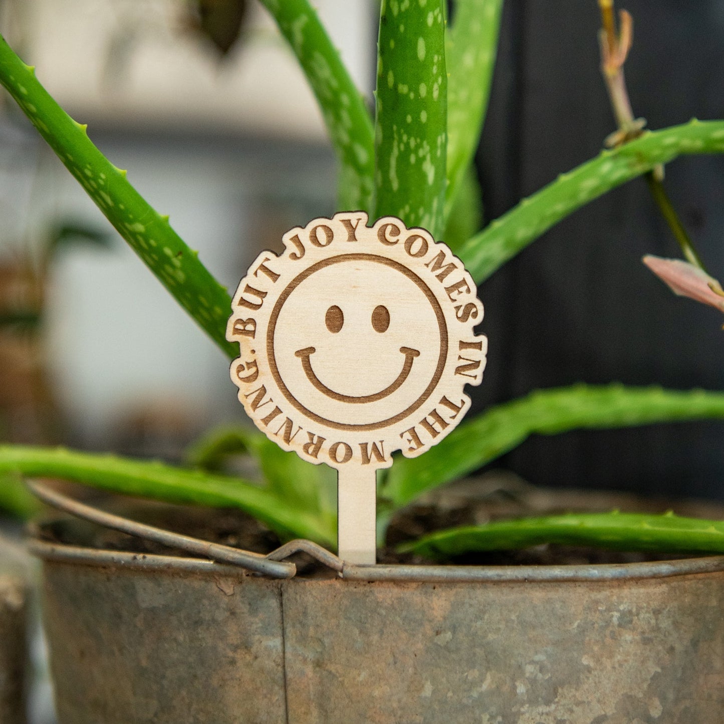 Still Magnolia "But Joy Comes In The Morning" plant stakes set, decorative garden stakes for outdoor plants and floral displays.