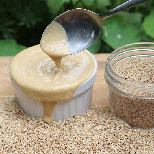 Creamy organic tahini in a white bowl from East Wind Crafts, showcasing smooth texture and rich sesame flavor.