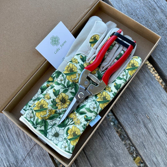 Garden Gift Box from The Celtic Farm with green and yellow gardening gloves and needle snips for gardening tasks.