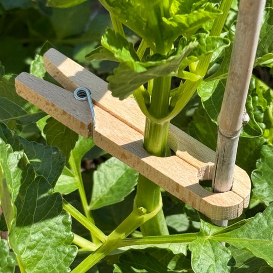 Garden plant clamps from The Celtic Farm, replacement ties for securing plants and supporting garden growth.