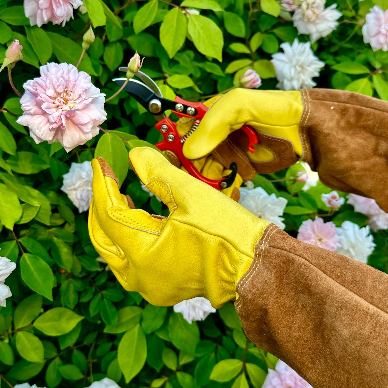 Long garden gloves for rose pruning by The Celtic Farm, soft cowhide material, protective gardening gloves with extended cuffs.