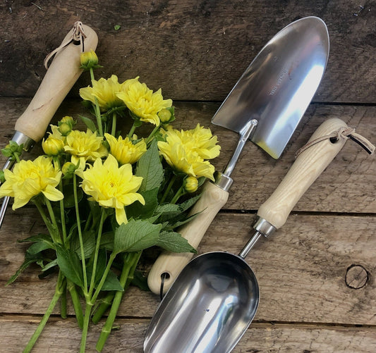 A bunch of yellow flowers rests on wood beside The Celtic Farm’s Garden Hand Tool Set - Hardwood and Stainless, featuring a trowel, transplanter, and hand scoop with wooden handles.
