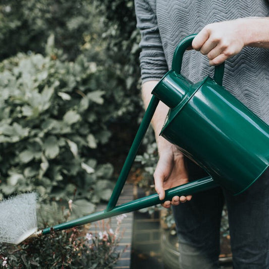 Green Haws Warley Fall watering can by The Celtic Farm, 2-gallon size, with a classic design for garden watering.