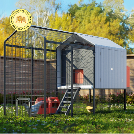 The Smart Coop Unlimited+ chicken coop with free chicks, featuring a spacious outdoor poultry enclosure and secure nesting area.