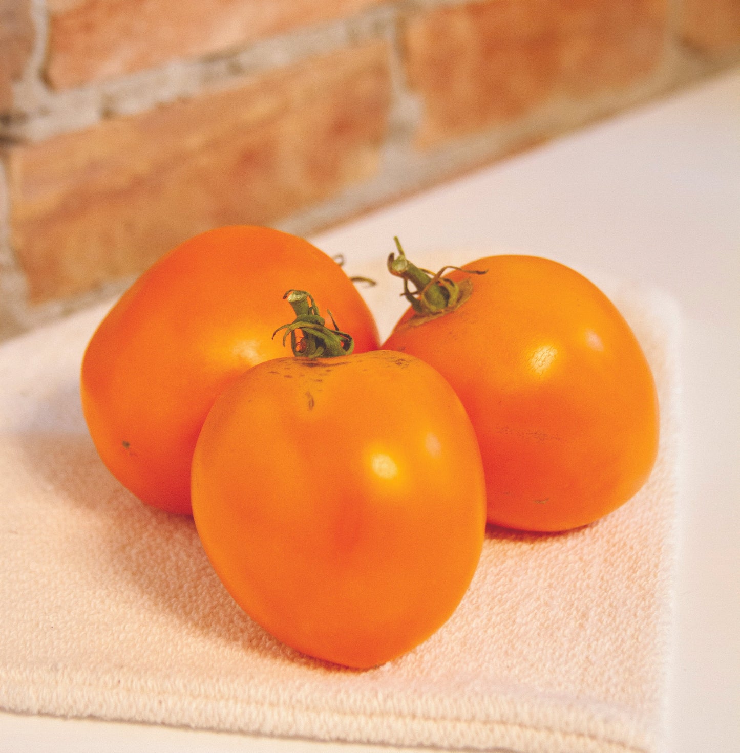 Valencia Tomato - Blessings Grow Meadows