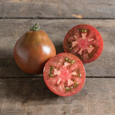 Japanese Black Trifele Tomato - Blessings Grow Meadows