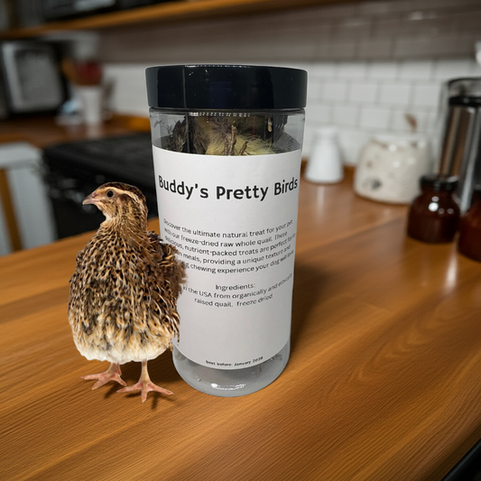 Premium freeze-dried whole quail dog treats from Quailz.com, natural protein rewards for large dogs, 5-count package
