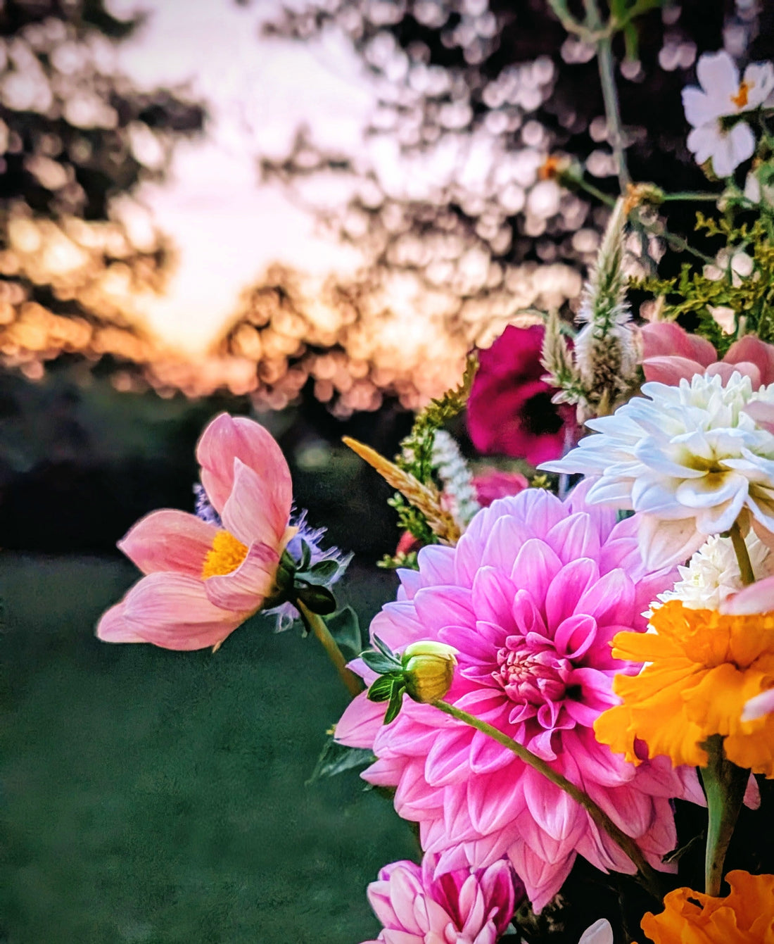 Bright dahlia arrangement at dusk 
