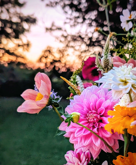 Bright dahlia arrangement at dusk 