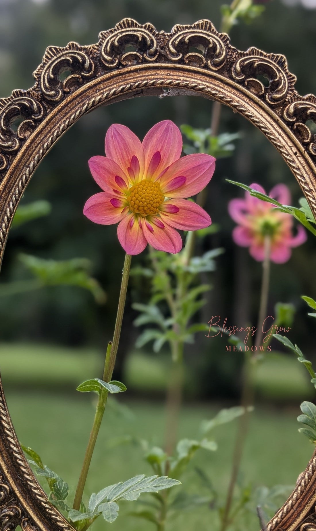 What It Actually Takes to Become a USDA Registered Farm (and Qualify for Grants)