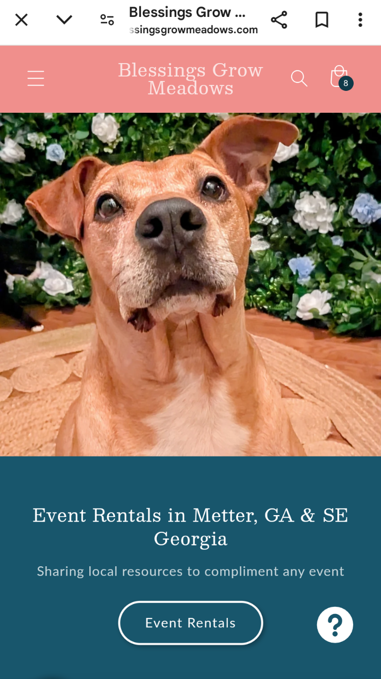 A picture of a brown dog in front of a flower wall from blessings grow meadows homepage