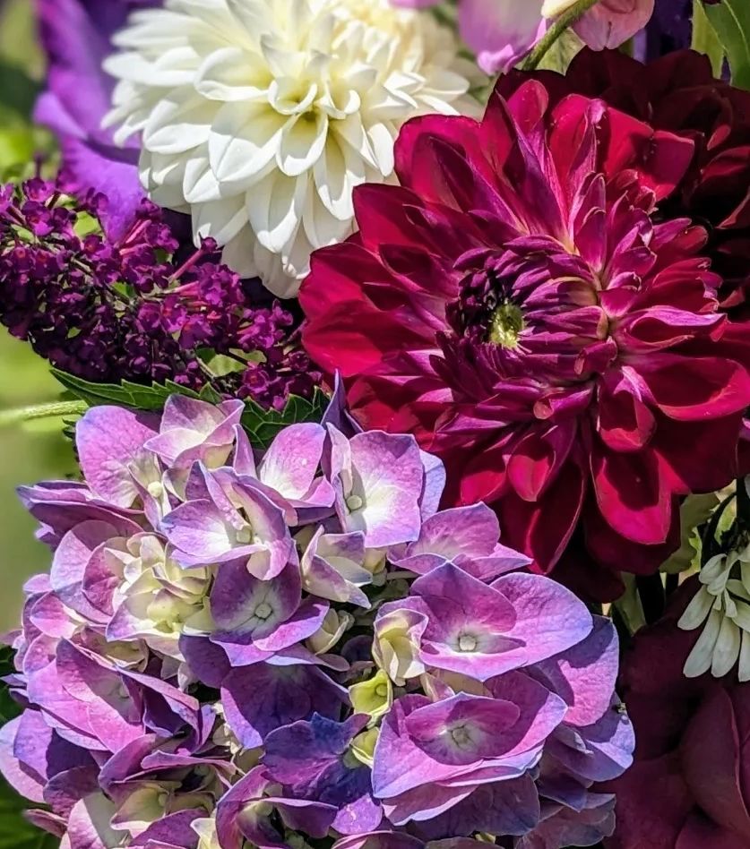 2024 Floral Trends: Flourishing with Locally Sourced Flowers