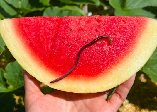 Garden Gold - Premium Gardening Supplies | Blessings Grow Meadows