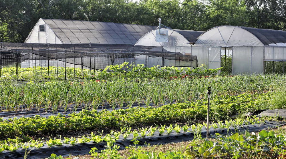 Shade Cloth - Blessings Grow Meadows