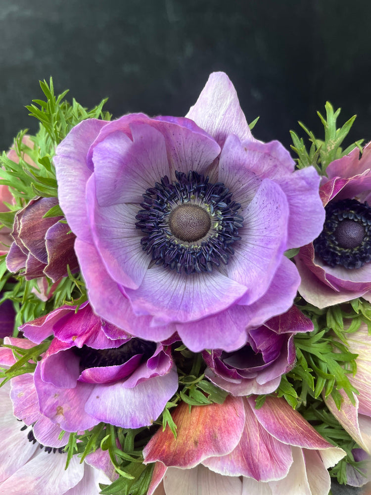 Sunny Meadows Flower Farm