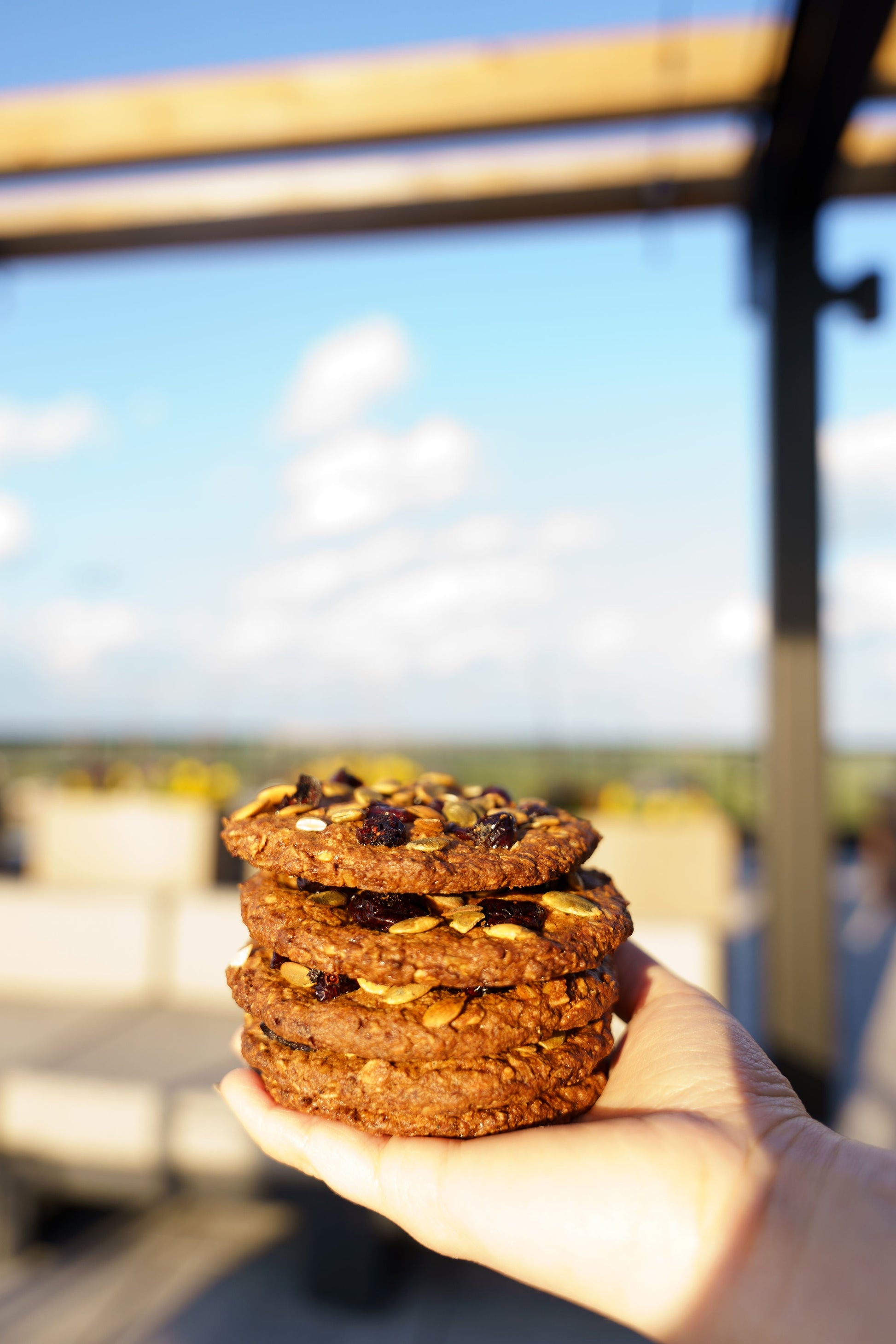 Three gluten-free vegan oat-cherry cookies from Heaven Gluten Free Bakery displayed on a plate.