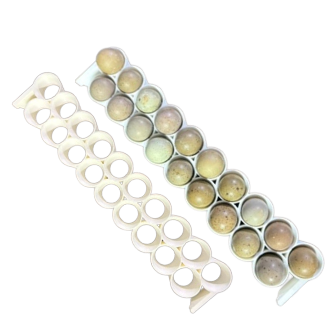 Standard and button quail egg rails for Cimuka and Hatching Time incubators, compatible with CT-Series, by Quailz.com.