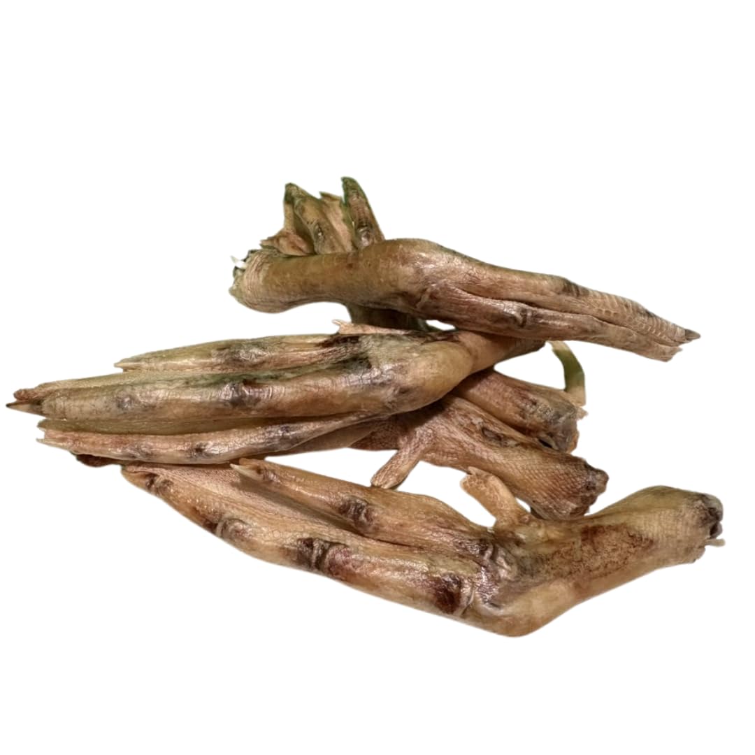 Freeze-dried duck feet for dogs, natural joint support, 10 count, premium quality dog treats from Quailz.com by Undique LLC.