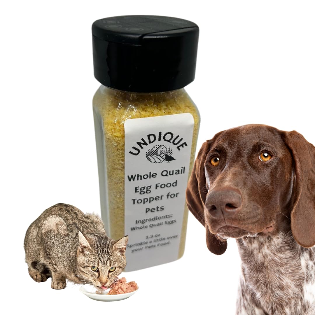 High-protein Quailicious Boost cat food topper by Quailz.com, featuring freeze-dried quail eggs for digestive health and nutrient support.
