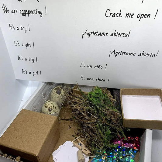 Quailz.com pregnancy announcement kit featuring 3 hollow quail eggs, glitter, and craft box for gender reveal celebrations.