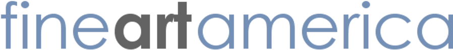 Logo with the text fine art america in lowercase, featuring a minimalist design. The words are in a simple, sans-serif font.