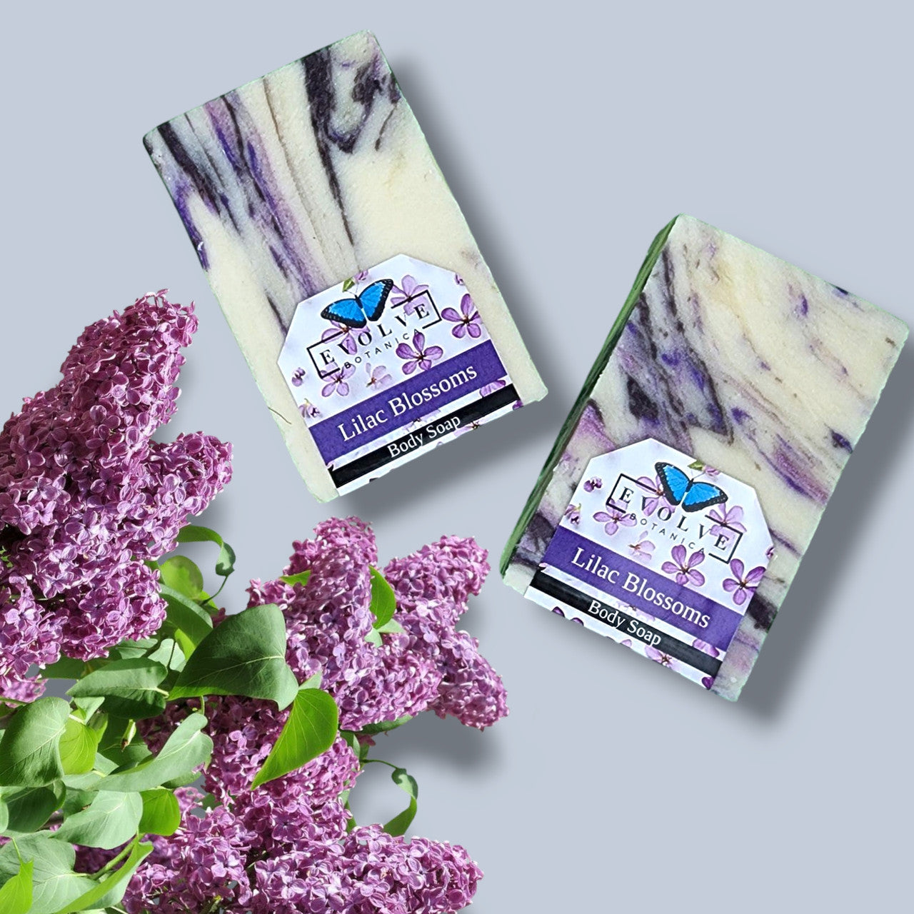 Seasonal Soap - Lilac Blossoms - Evolve Botanica ~ Blessings Grow Meadows