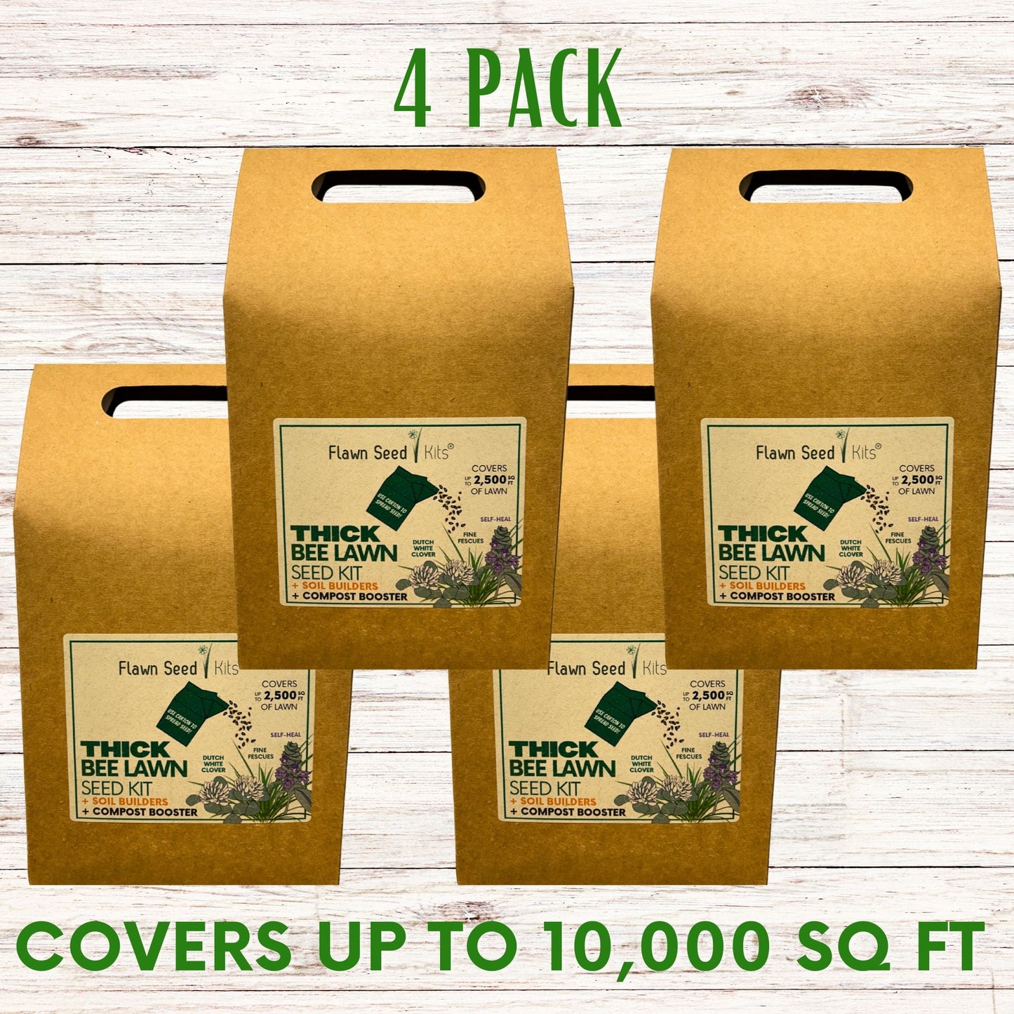 Thick Bee Lawn Seed Kit Eco-Spread Carton - Blessings Grow Meadows