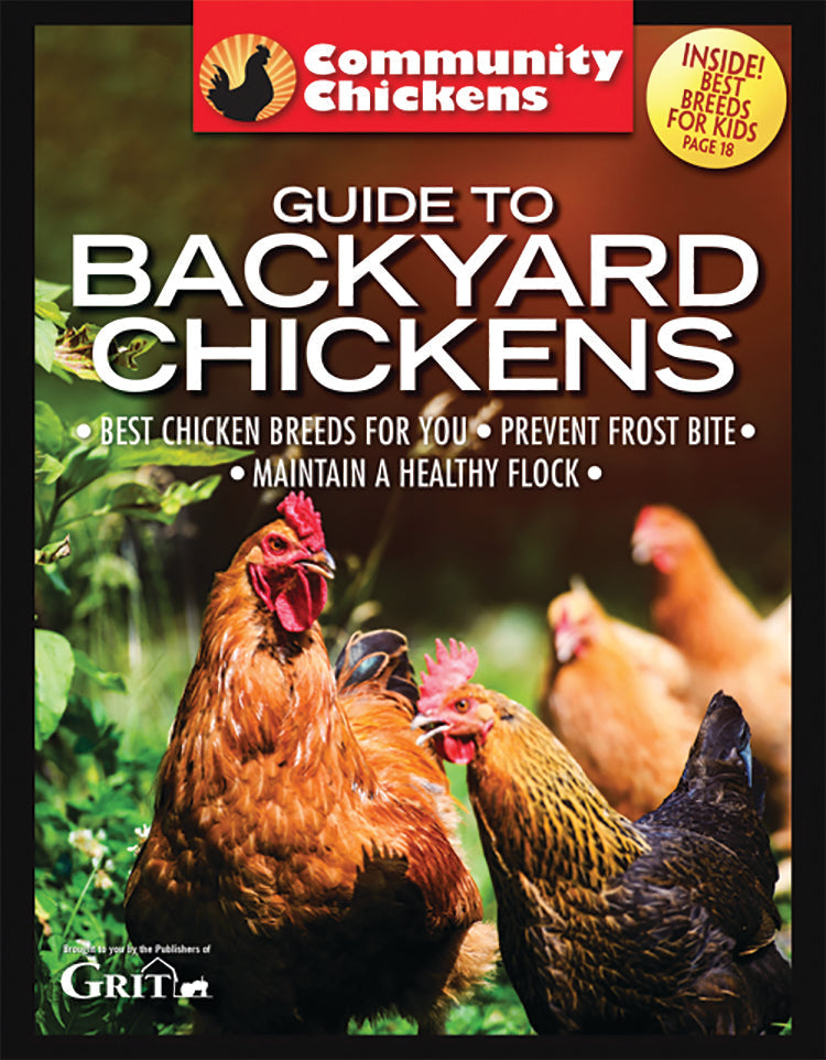 COMMUNITY CHICKENS GUIDE TO BACKYARD CHICKENS SET - Blessings Grow Meadows