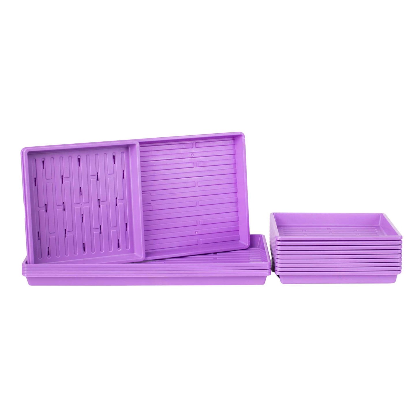 1010 Microgreens Kit - Blessings Grow Meadows