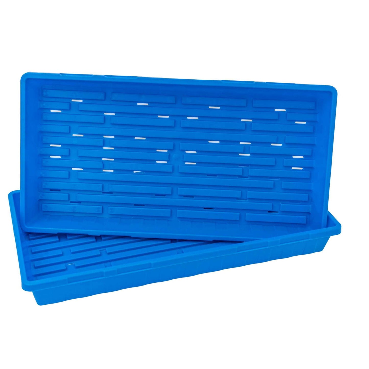 1020 Seed Starting Trays - Colored - Blessings Grow Meadows -