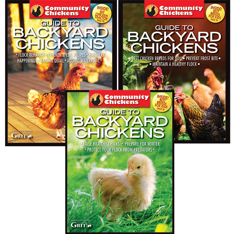 COMMUNITY CHICKENS GUIDE TO BACKYARD CHICKENS SET - Blessings Grow Meadows