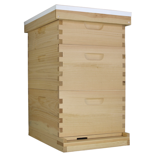 10 Frame Complete Beehive Kit – Amish-Made with 2 Deep & 1 Medium Boxes, Frames & Wax-Coated Foundations