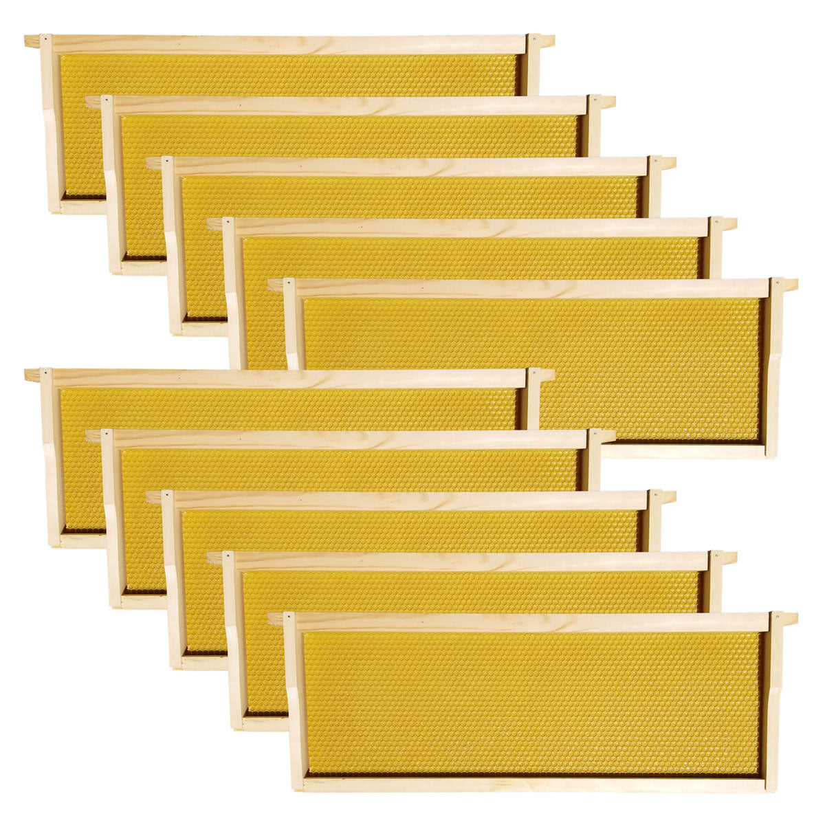 10 Frame Medium Honey Super – Amish-Made w/ Assembled Frames & Wax-Coated Foundations