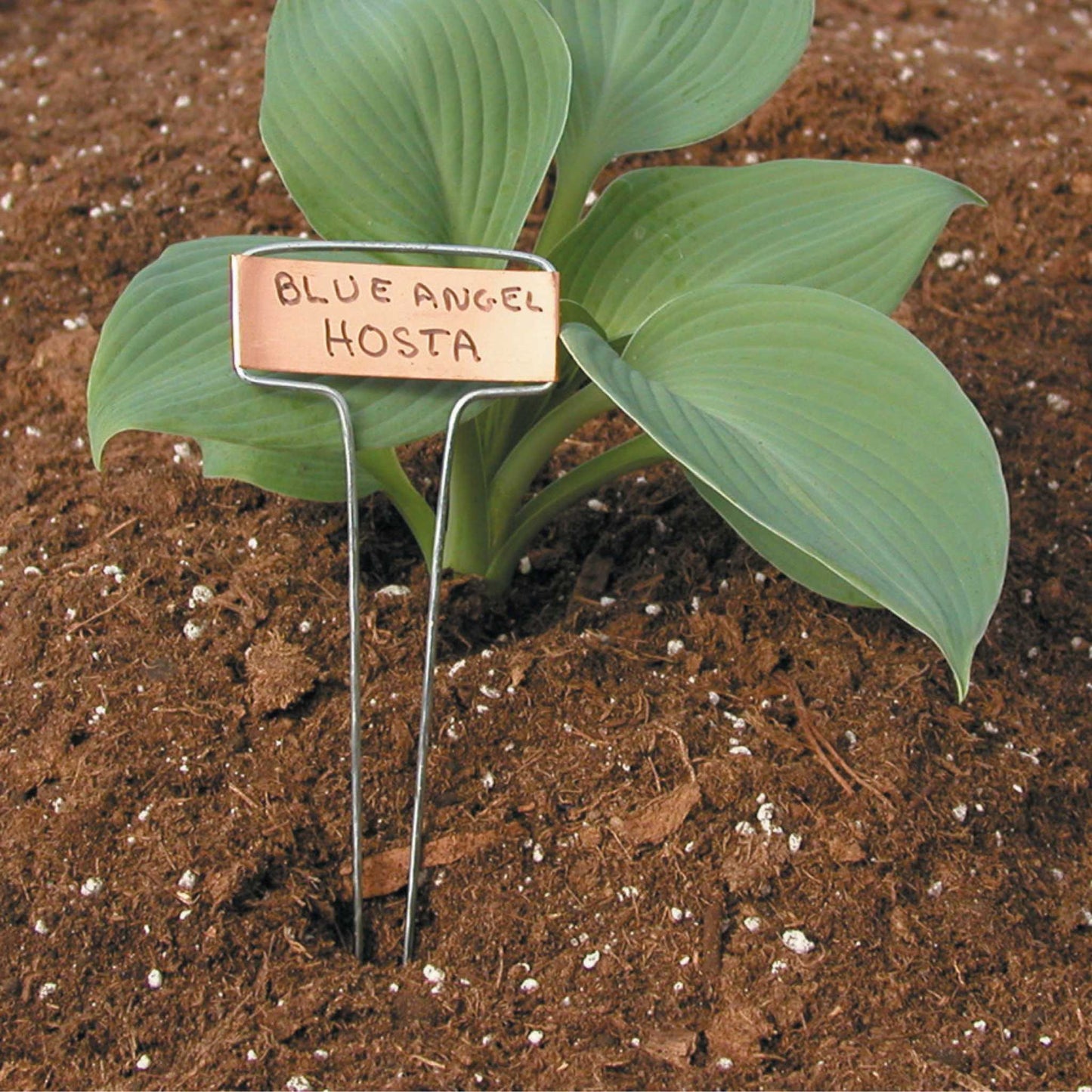 Luster Leaf Classic Impressions Garden 10" Plant Labels | Copper or Zinc 10 Pk. - Blessings Grow Meadows