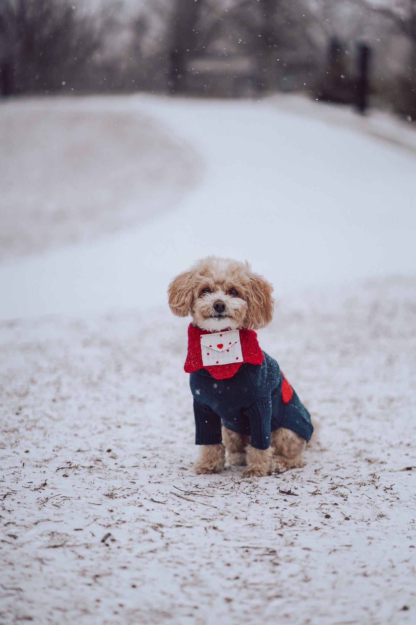 Love Note Reversible Handmade Bandana - BarkBarkBaby ~ Blessings Grow Meadows