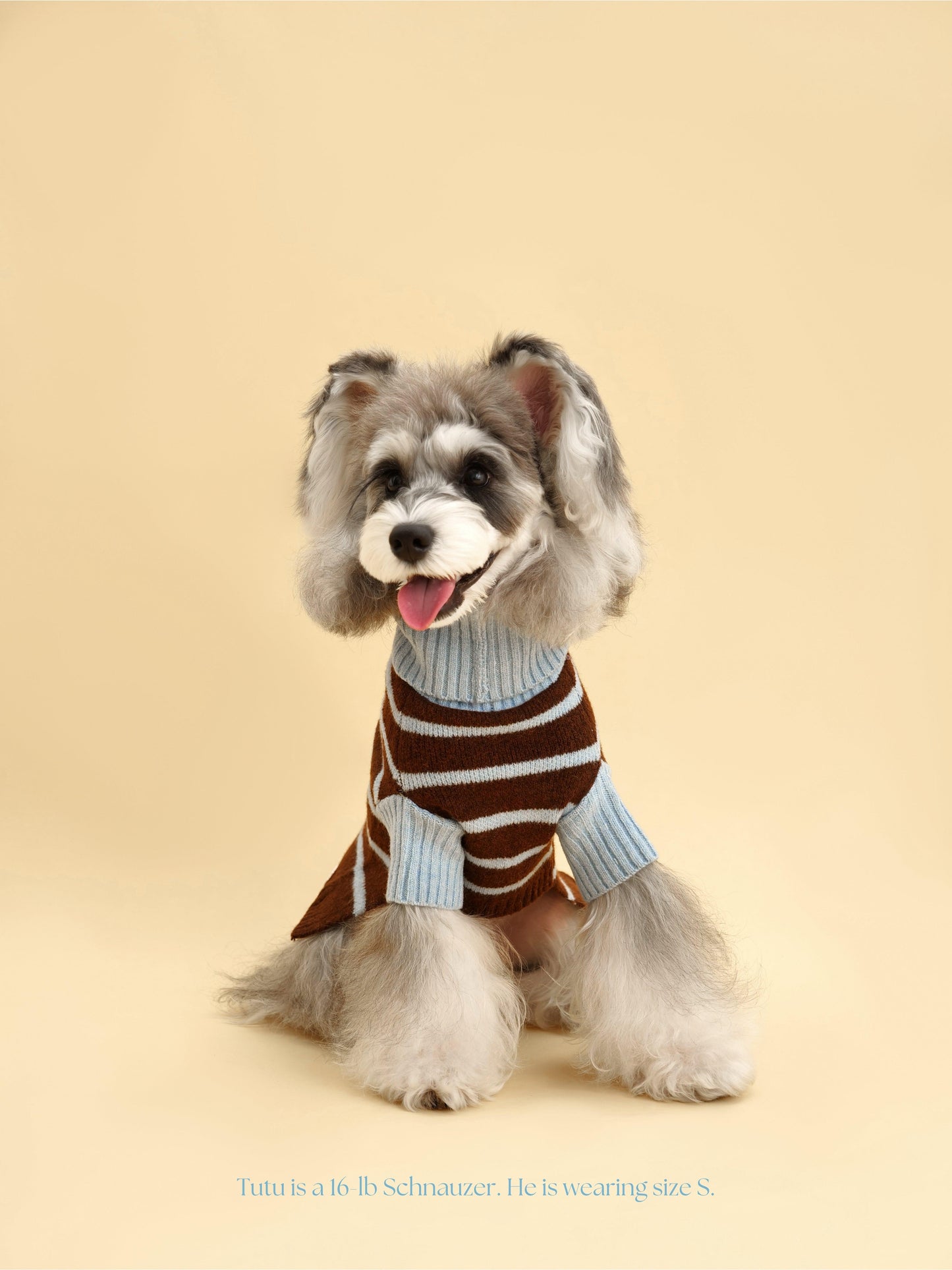 Bluebell Stripes Sweater - BarkBarkBaby ~ Blessings Grow Meadows