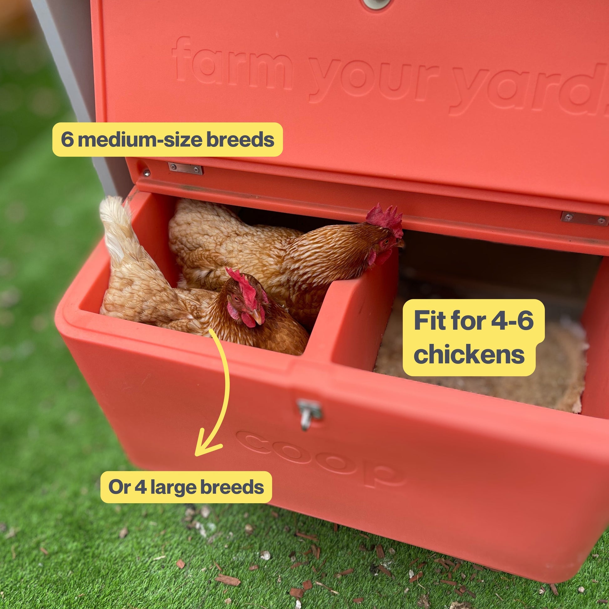 The Smart Coop + Base (+ Free Chicks! 🐣) - Blessings Grow Meadows