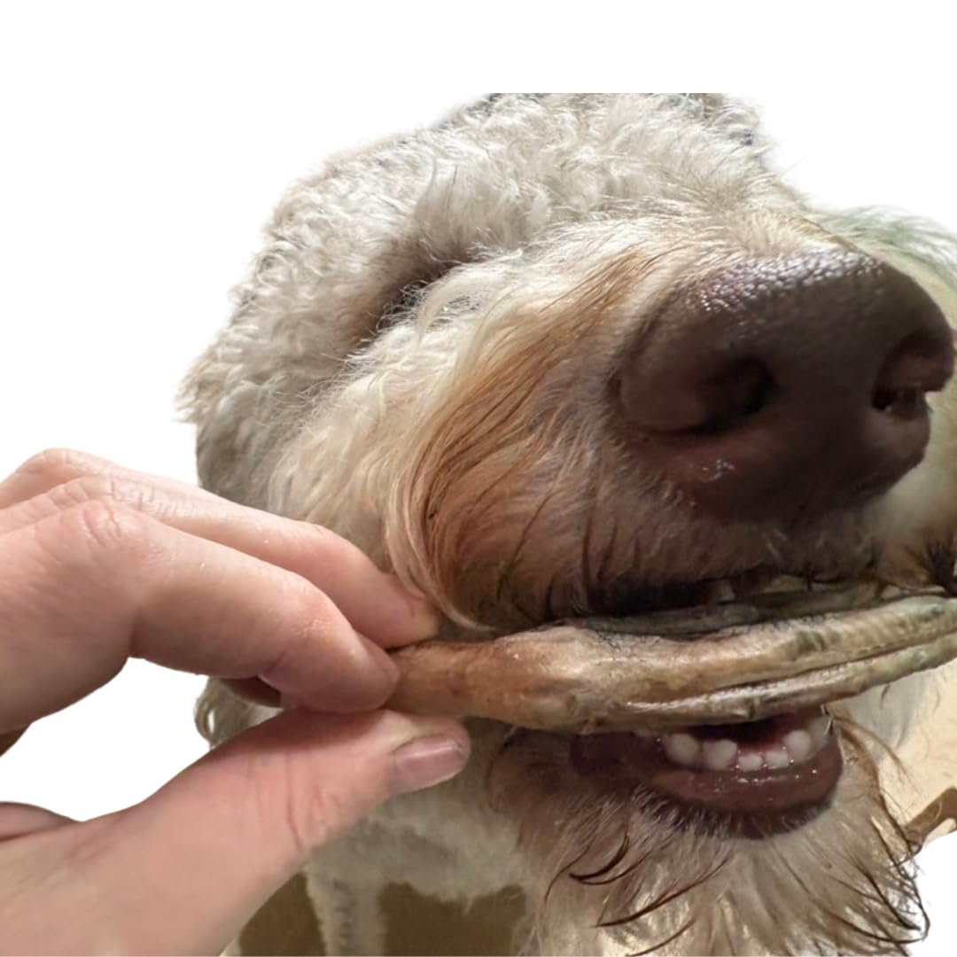 Freeze-dried duck feet for dogs, natural joint support, 10-piece pack, made in USA, with visible crunchy texture and natural appearance.